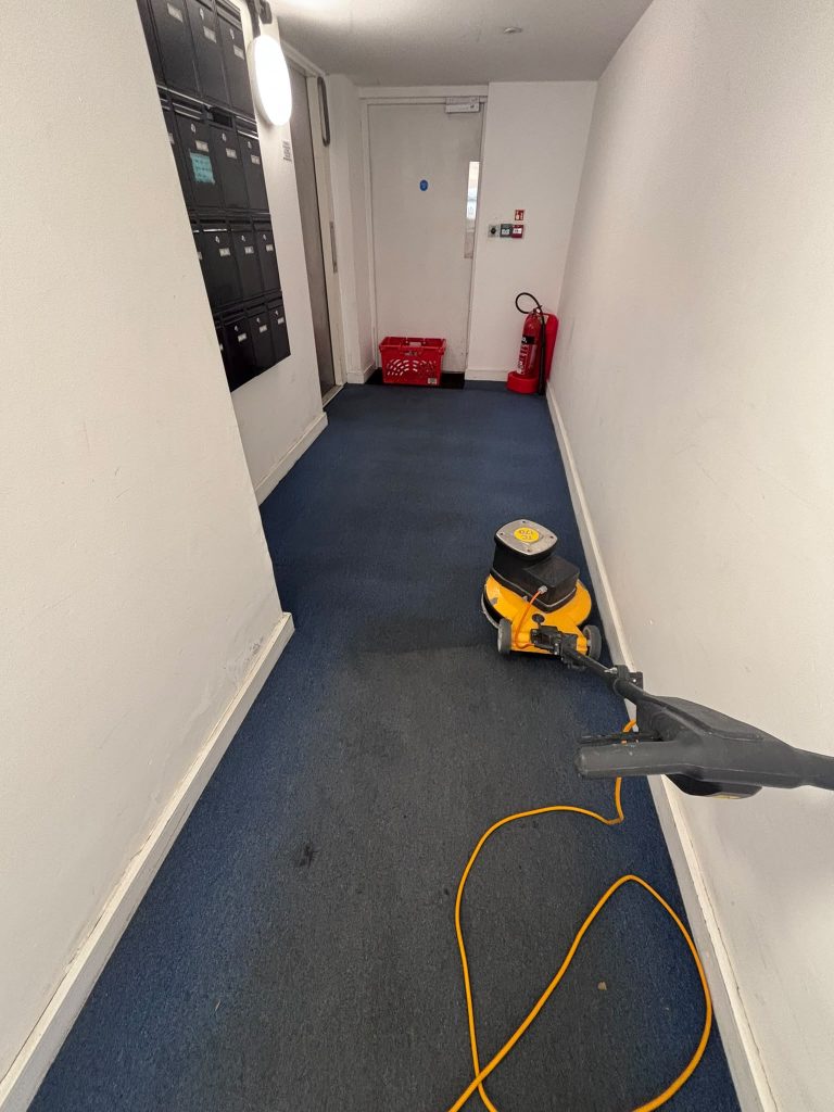 communal carpet cleaning high wycombe